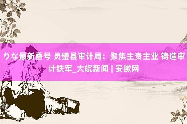 りな最新番号 灵璧县审计局：聚焦主责主业 铸造审计铁军_大皖新闻 | 安徽网