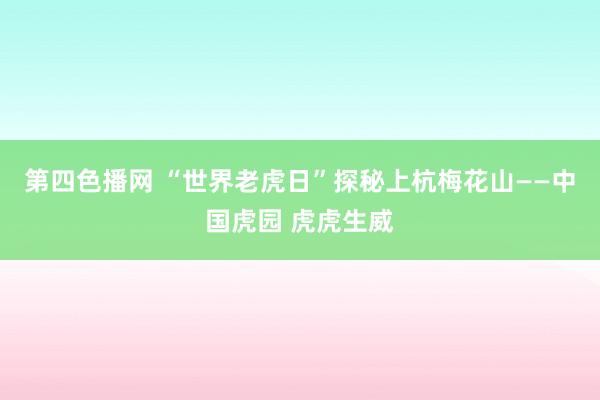 第四色播网 “世界老虎日”探秘上杭梅花山——中国虎园 虎虎生威