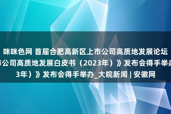 咪咪色网 首届合肥高新区上市公司高质地发展论坛暨《合肥高新区上市公司高质地发展白皮书（2023年）》发布会得手举办_大皖新闻 | 安徽网