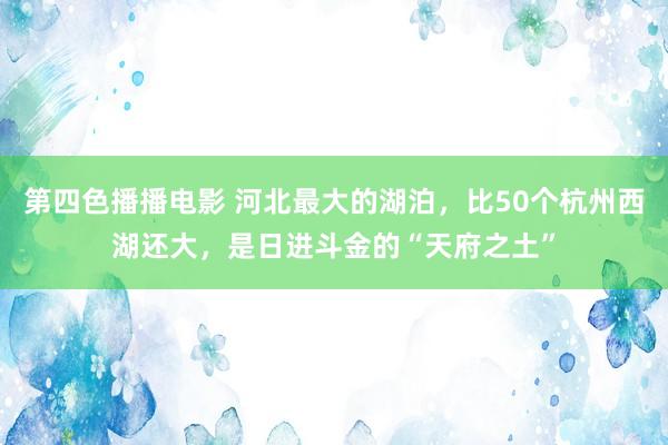 第四色播播电影 河北最大的湖泊，比50个杭州西湖还大，是日进斗金的“天府之土”