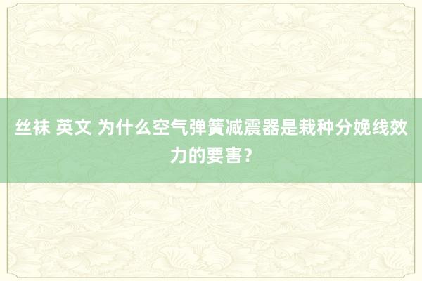 丝袜 英文 为什么空气弹簧减震器是栽种分娩线效力的要害？