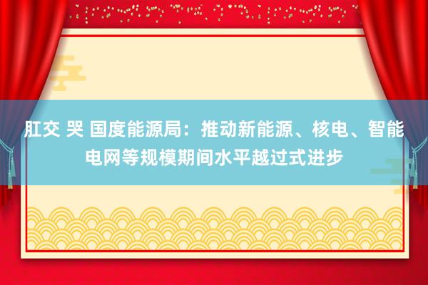 肛交 哭 国度能源局：推动新能源、核电、智能电网等规模期间水平越过式进步