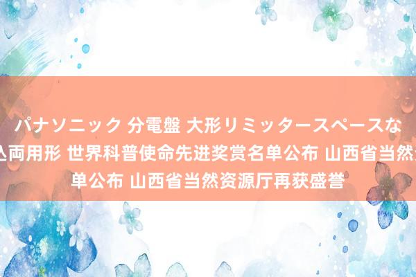 パナソニック 分電盤 大形リミッタースペースなし 露出・半埋込両用形 世界科普使命先进奖赏名单公布 山西省当然资源厅再获盛誉